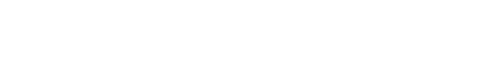 Partner 16