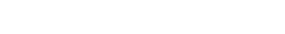 Partner 18
